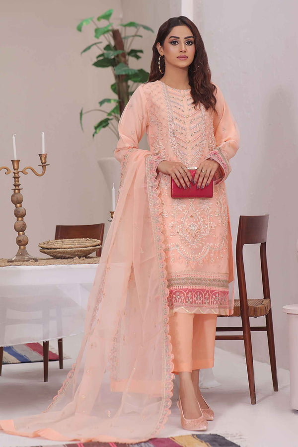 3 Piece Stitched - Vintage Embroidered Organza VEO-02